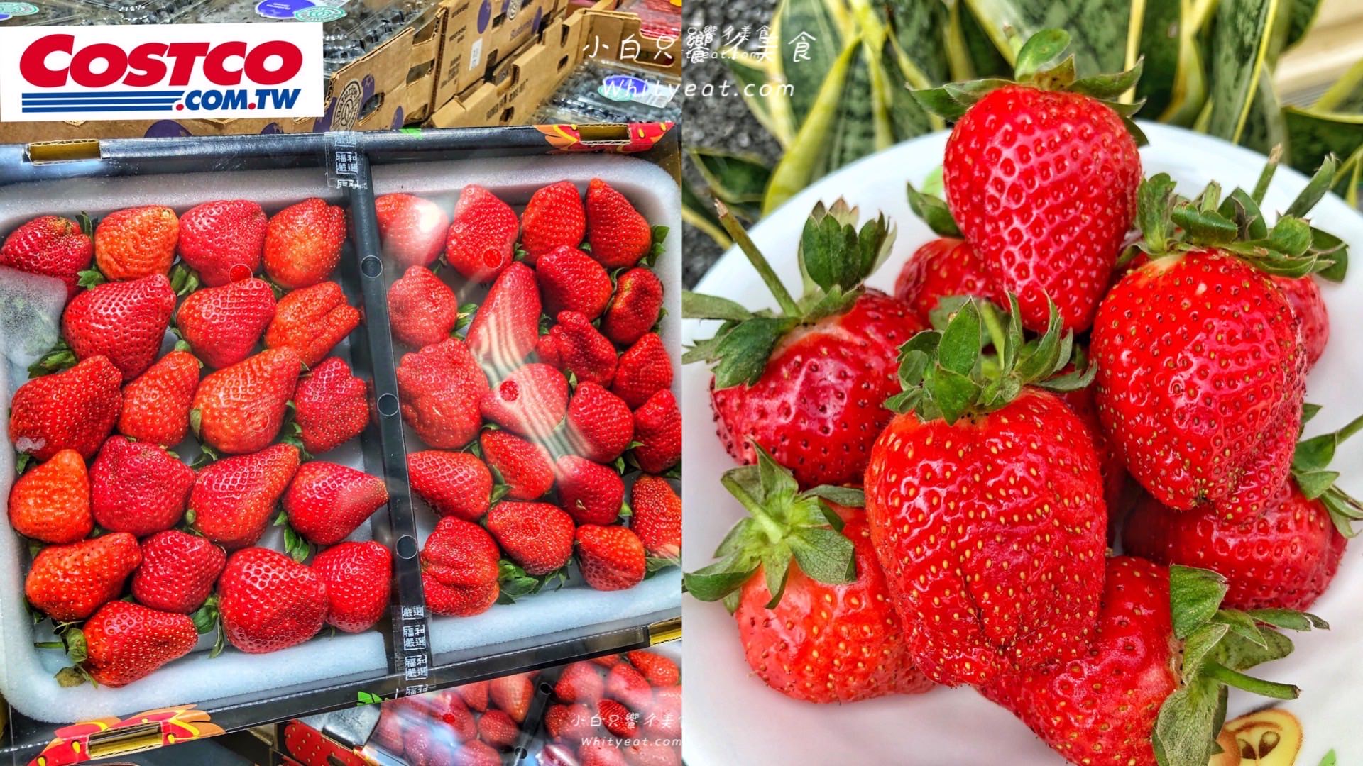 終於買到了 好市多限量開賣 苗栗大湖草莓 草莓大顆又香甜送女友買這盒就對了 痴吃的玩